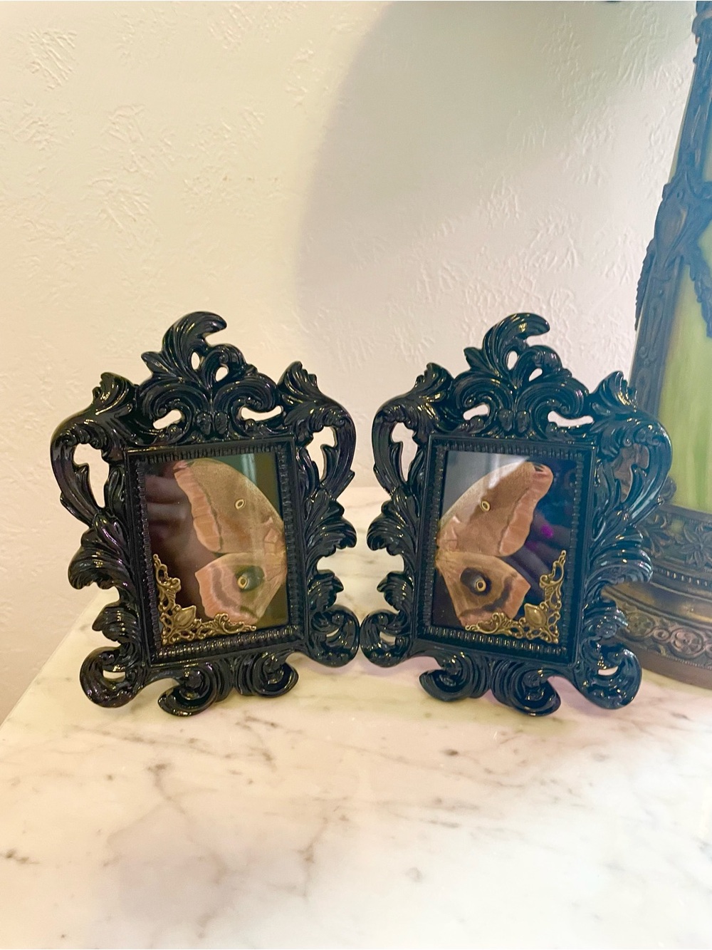 Atlas Moth Wings In Ornate Black Photo Frame Pair